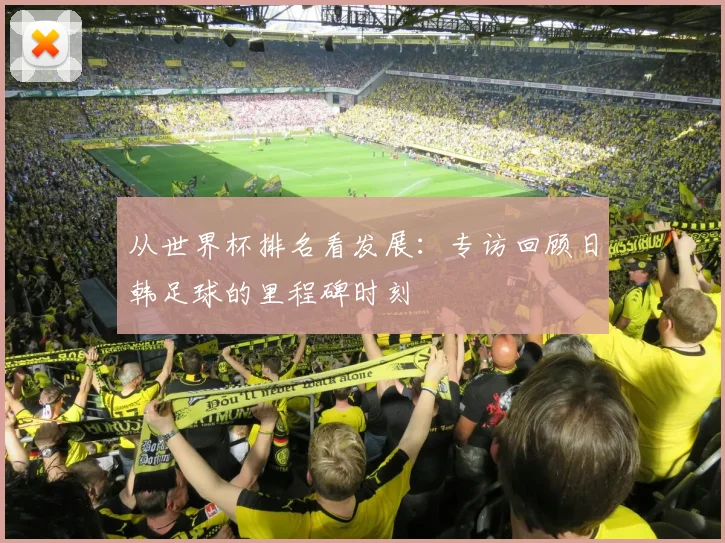 从世界杯排名看发展：专访回顾日韩足球的里程碑时刻