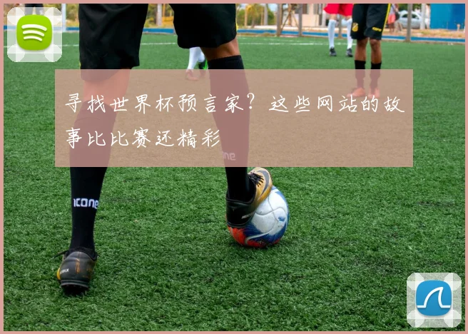 寻找世界杯预言家？这些网站的故事比比赛还精彩