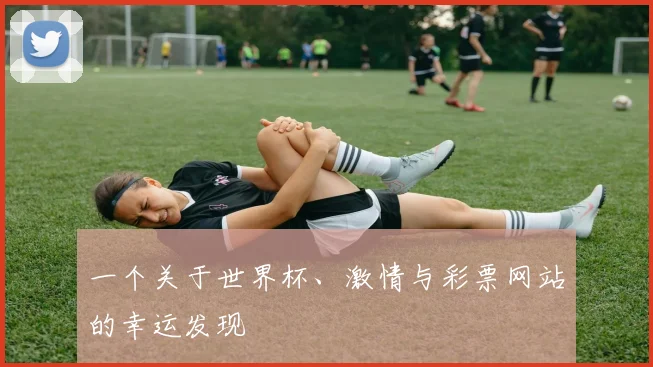一个关于世界杯、激情与彩票网站的幸运发现