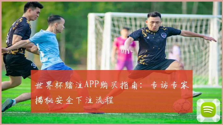 世界杯赌注APP购买指南:专访专家揭秘安全下注流程