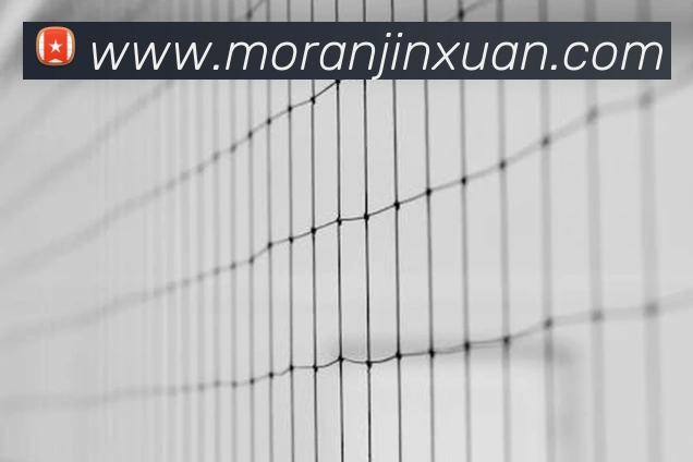 emc易倍官网入口品牌故事